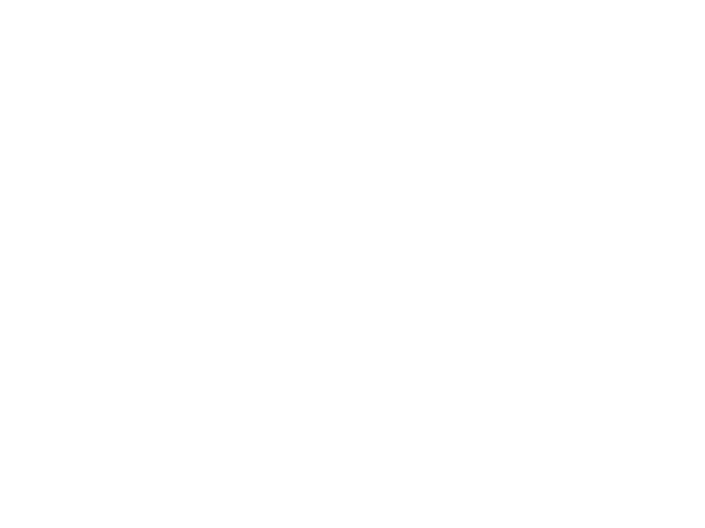 Dualit