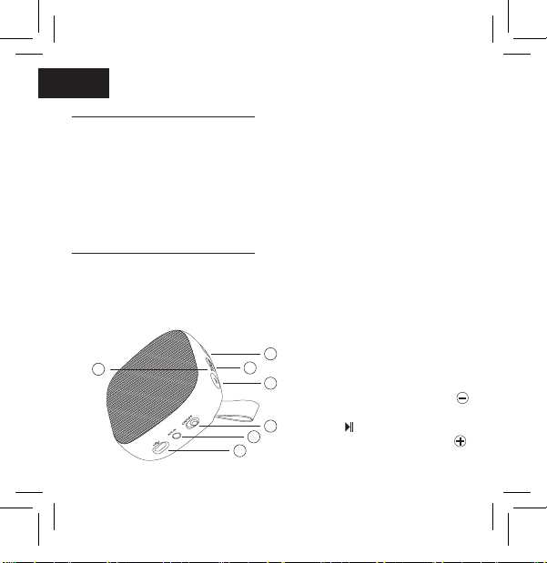 1237-tnb-record-i-led-manual page a