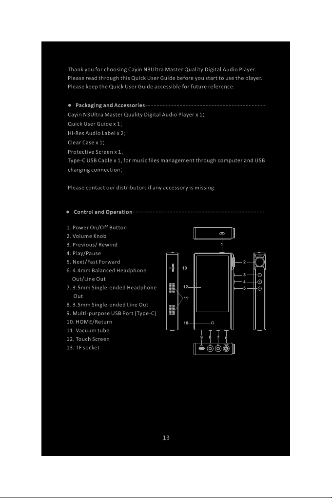 1920-cayin-n3ultra-manual page f