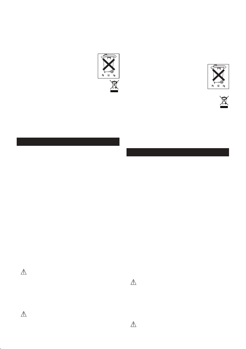 2080-beurer-gs-300-manual page c