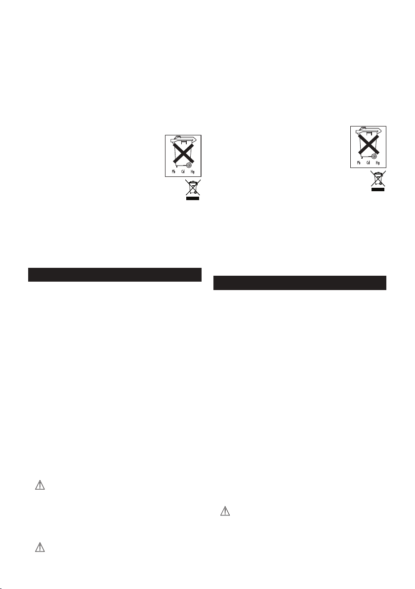 2080-beurer-gs-300-manual page d