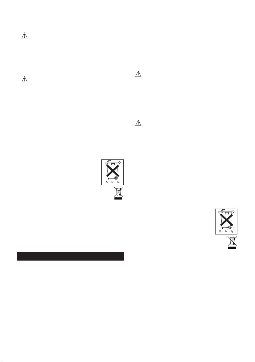 2080-beurer-gs-300-manual page f