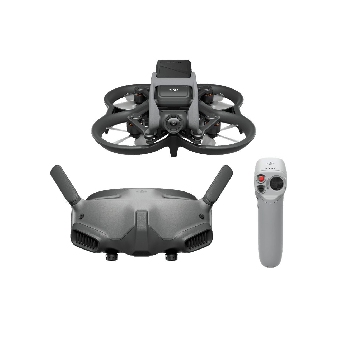 DJI Avata Pro-View Combo Handbuch
